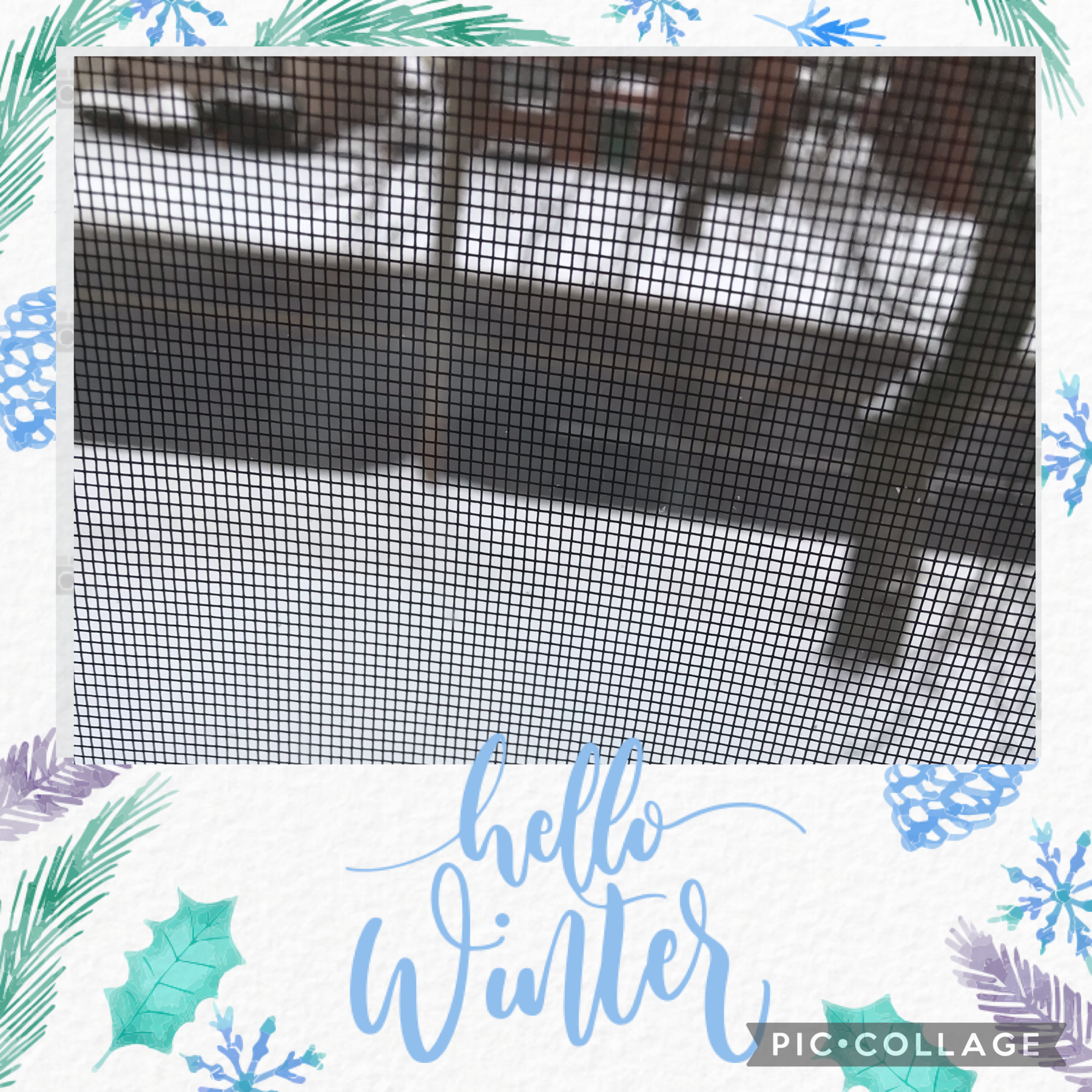 #winter