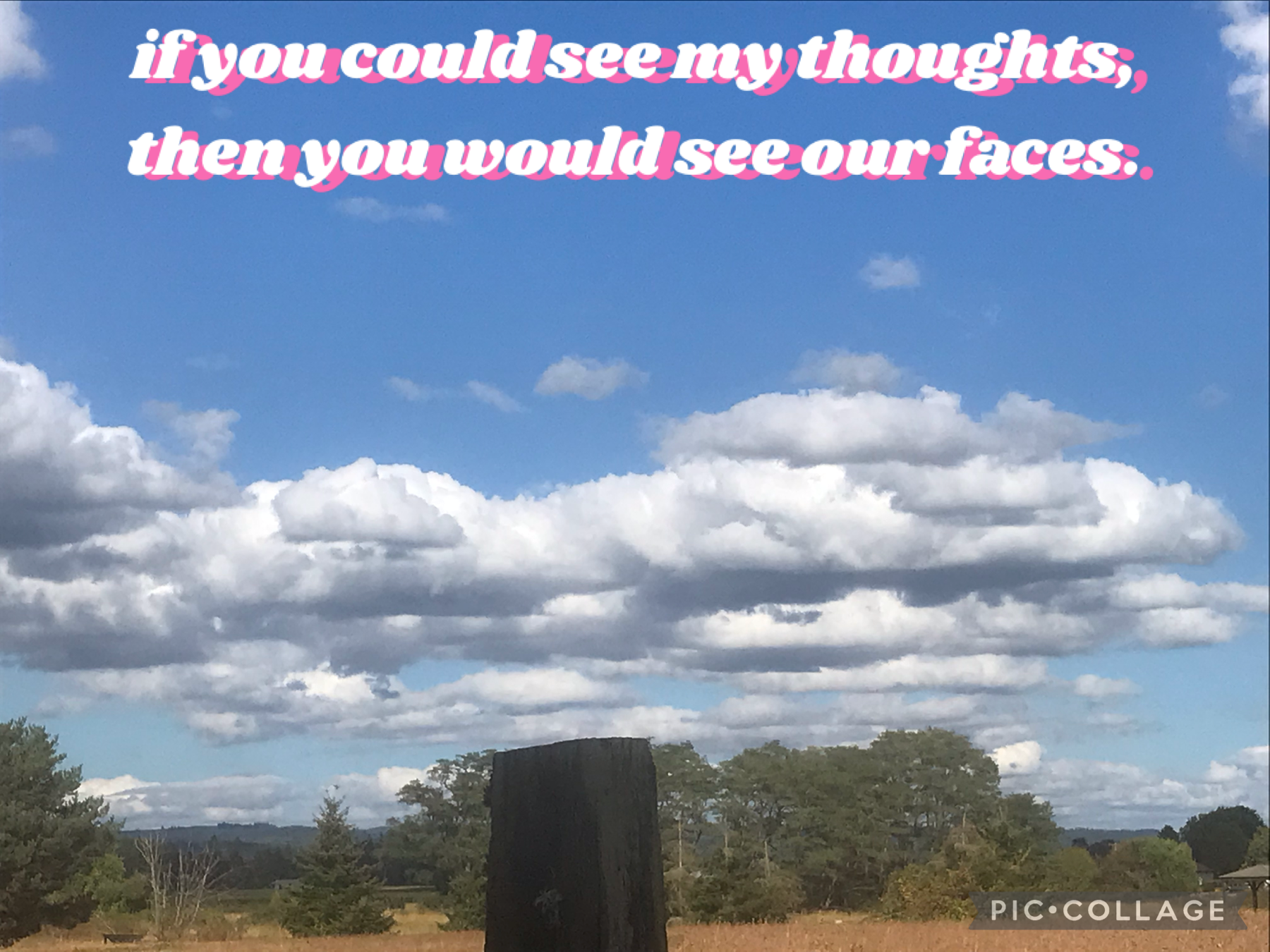 ☁️tap☁️
So this is kinda thrown together lol
It’s a pic I took of the sky on a partly cloudy day and I found the random quote on google so yeah that’s the story of my life😶✌🏼