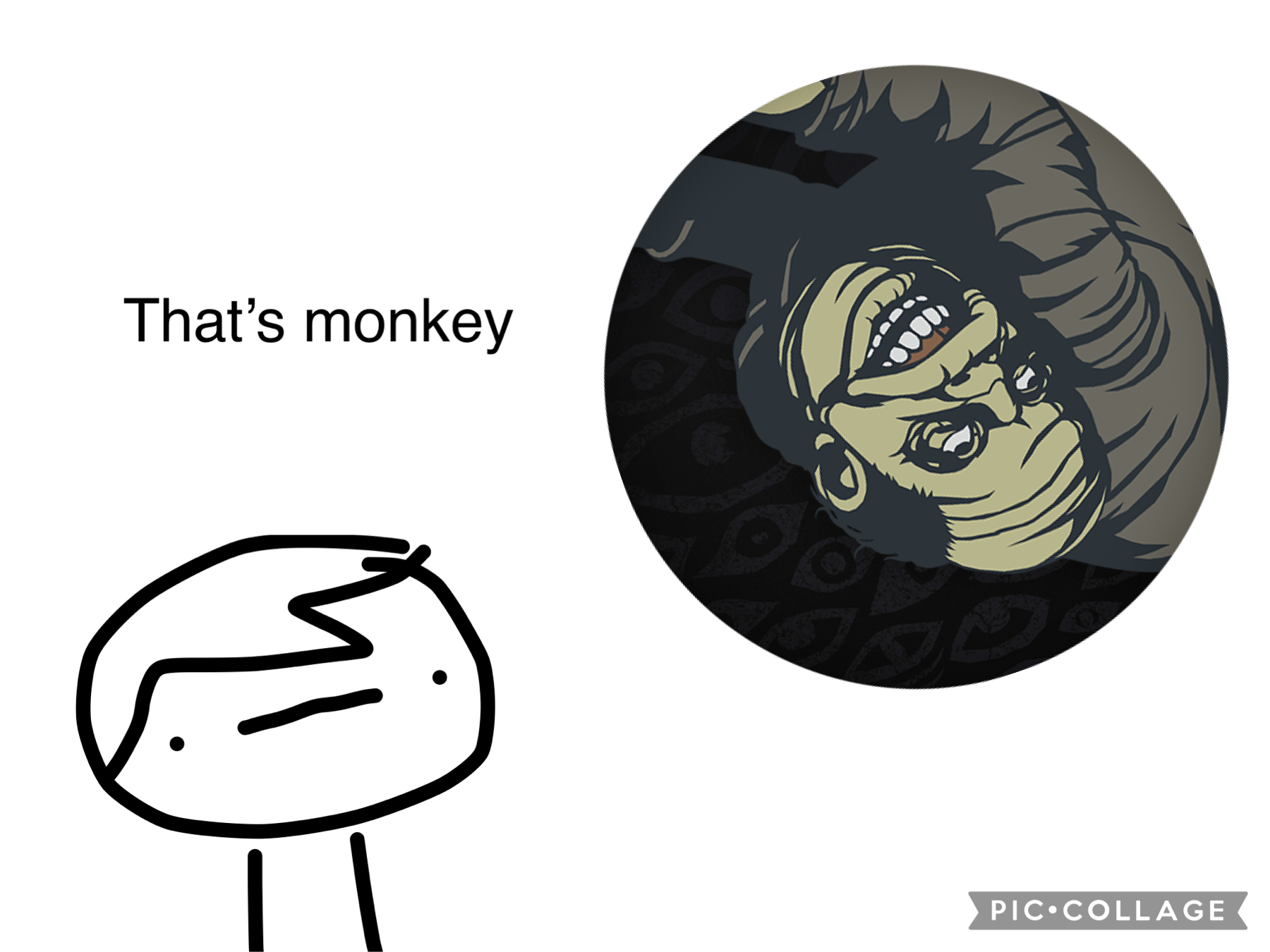 That’s monkey 