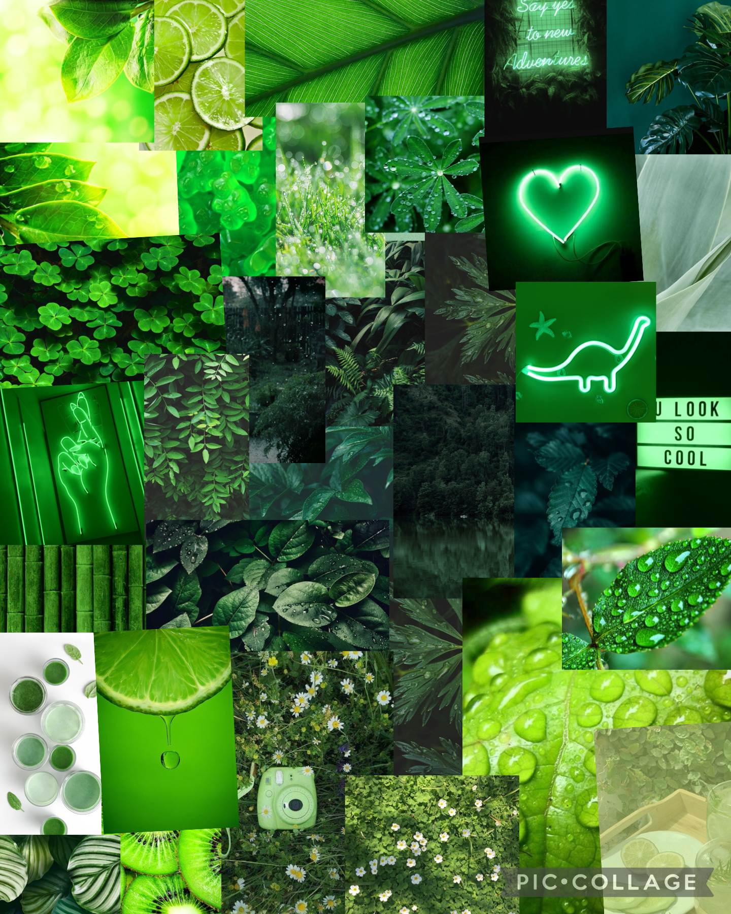Tap me!!
Sorry I haven’t been posting in a while…… I did another green collage cuz why not and also cuz I wanted to do a darker more casual green that’s like nature type (a bit). It’s not the best, but hope you enjoy!