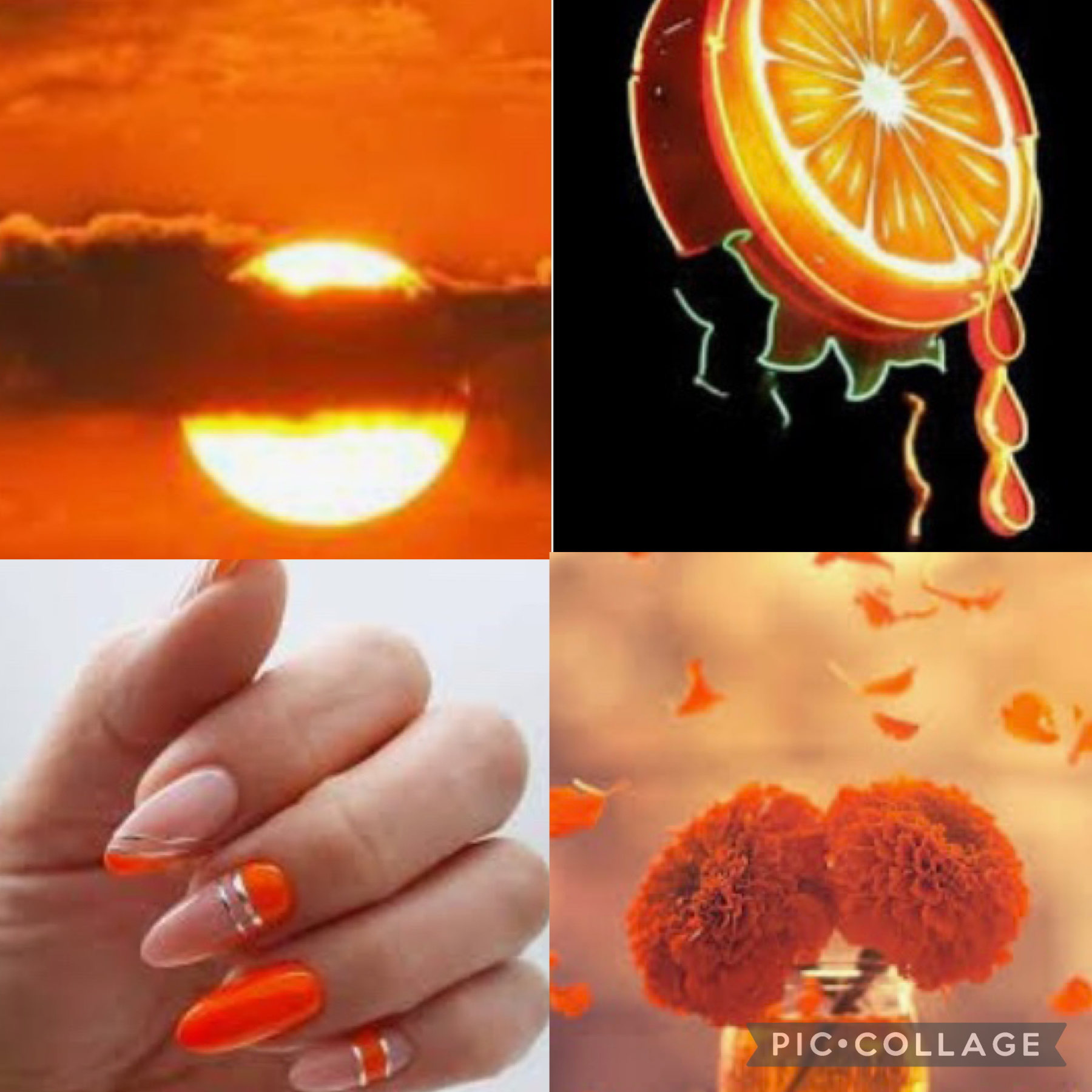 Orange 🧡