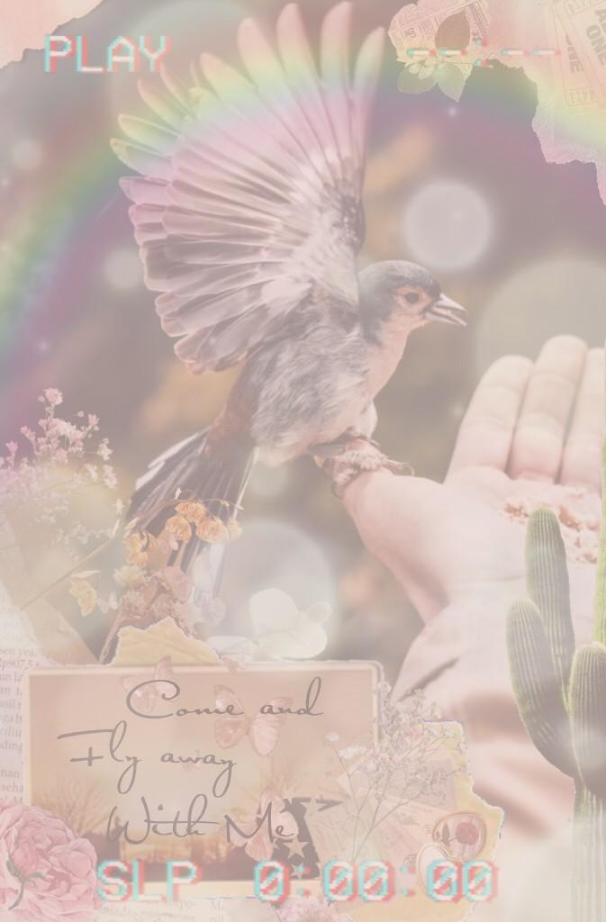 🌺🐦💗

Vintage Aesthetic Bird 

The quote is some of the lyrics to a song I used to listen to