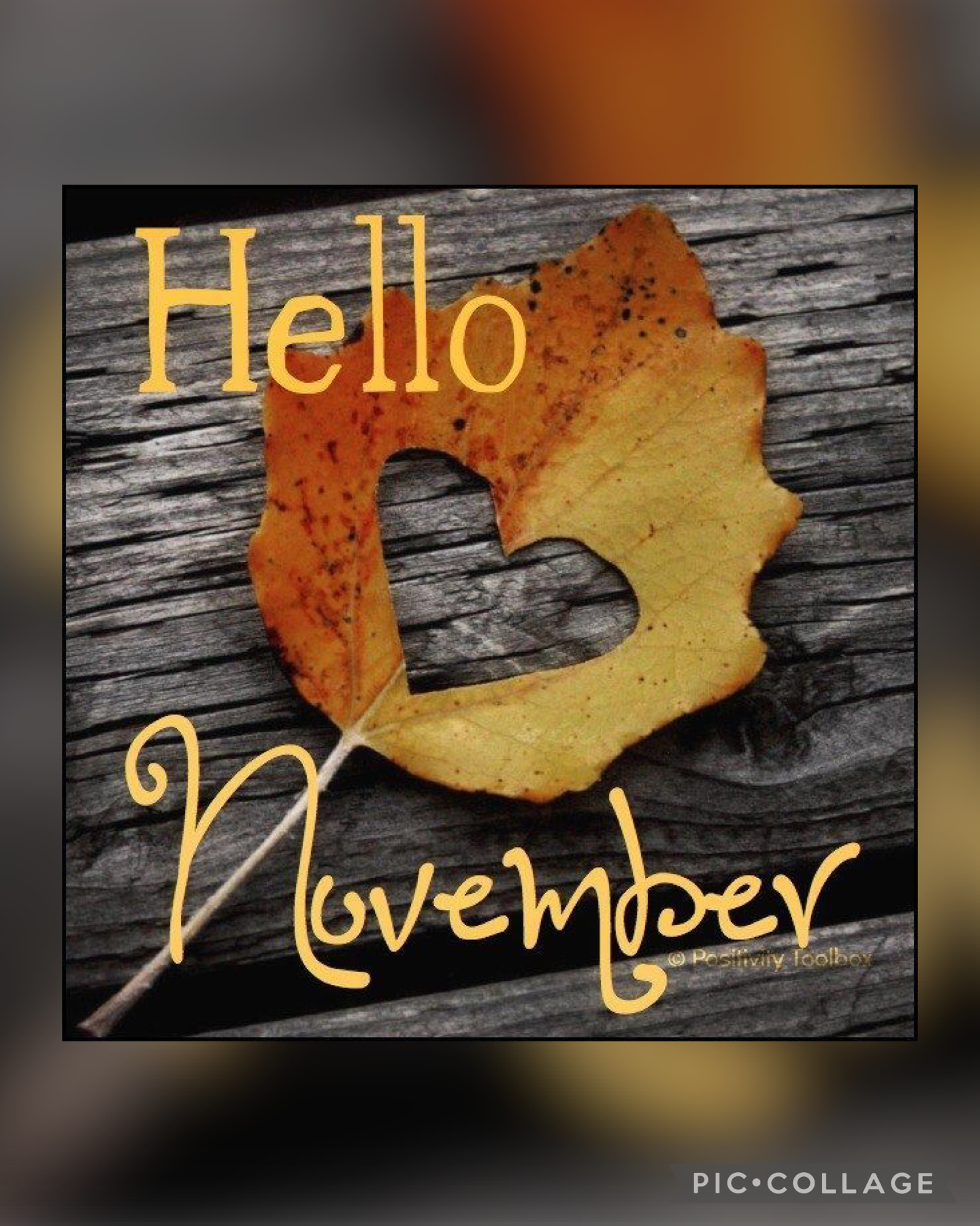 November 🍁