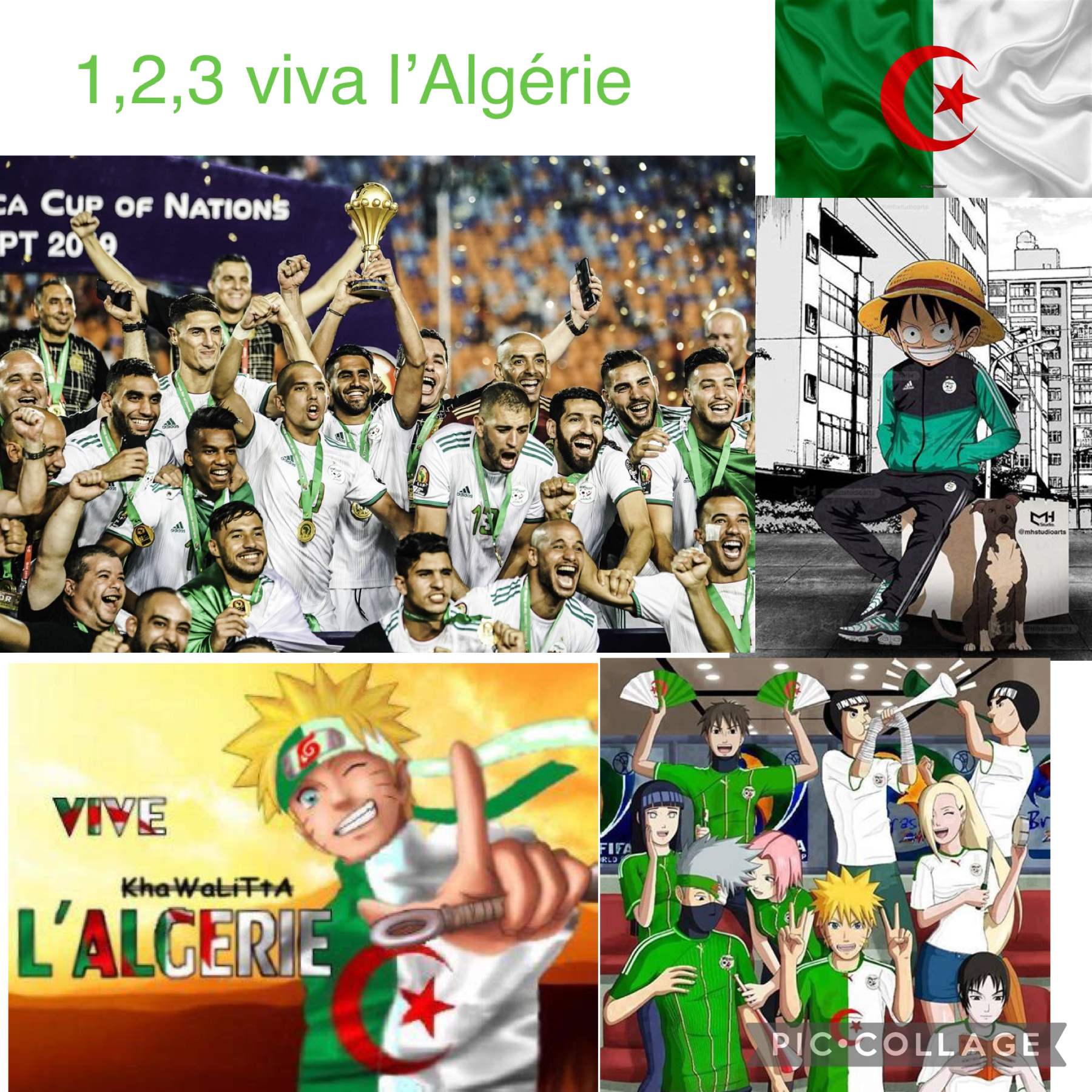 1,2,3 viva l’Algérie 