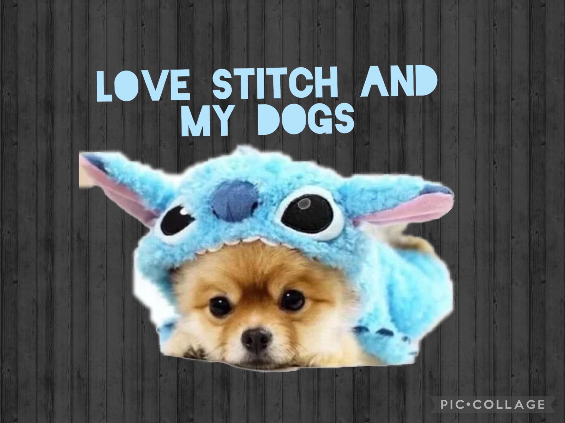 Dogs and stitch 
