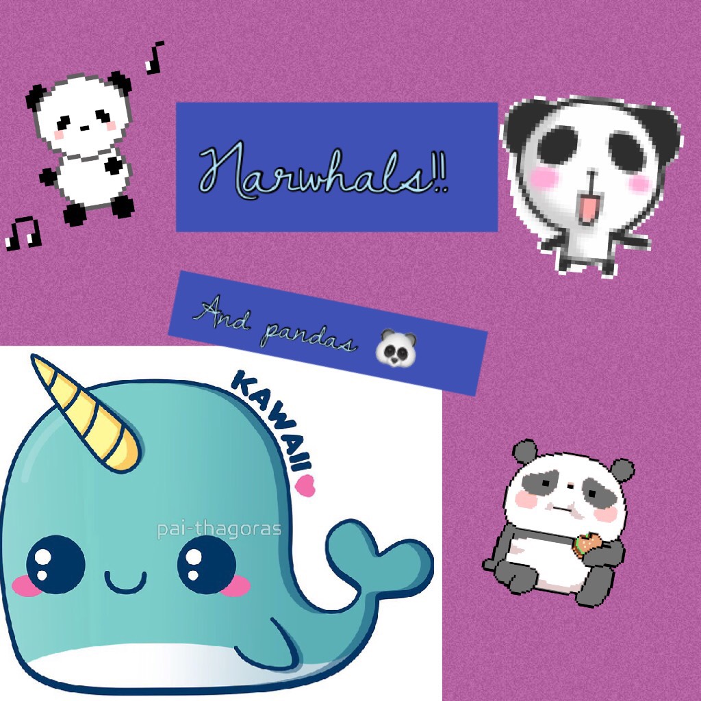 Narwhals and pandas are so cute!😘