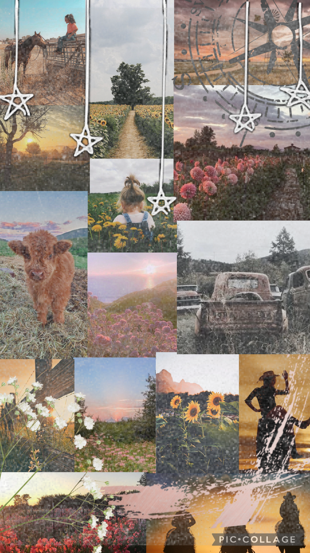 Country Collage