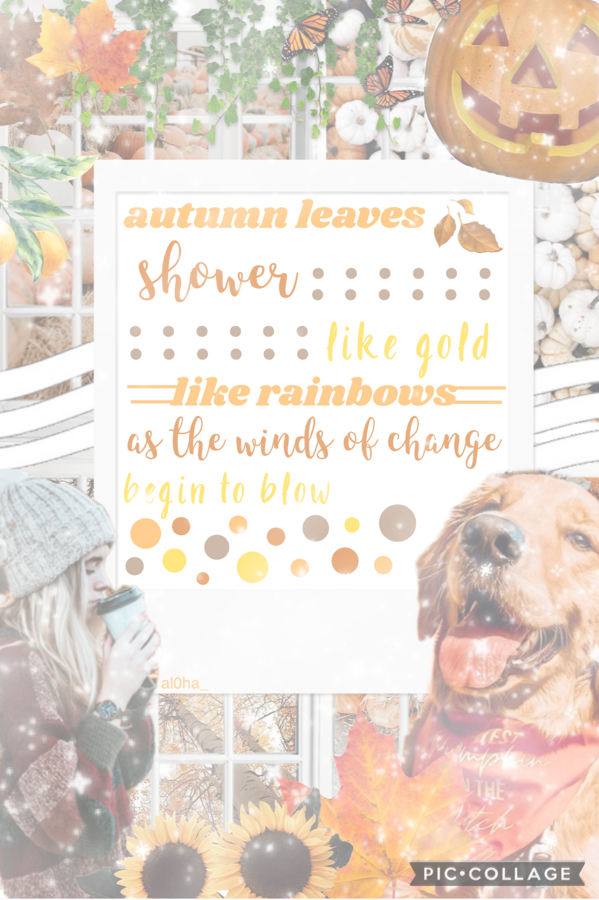 🍁10/21/22🍁 tap!
hi guys!! i've been taking a break from posting for awhile. but i couldn't stand not making a fall collage. idk how much i'll be posting now. qotd: how is everyone doing? 