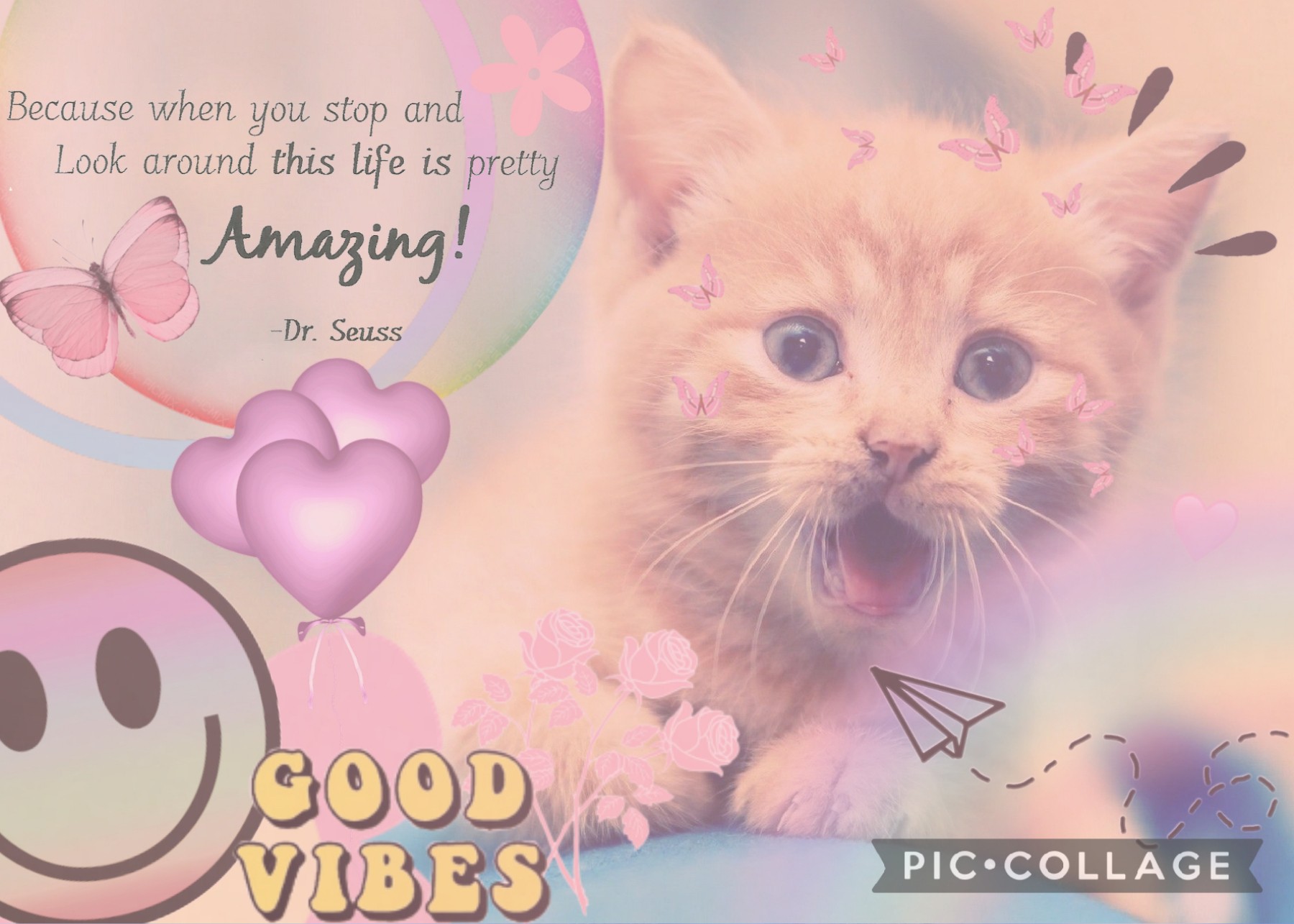 🌸🐱🌸

Aesthetic Happy Cat Collage 

Hey, I made a happy collage because I'm happy I'm back! Thank you all for your support while I wasn't posting, it means a lot ❤ 