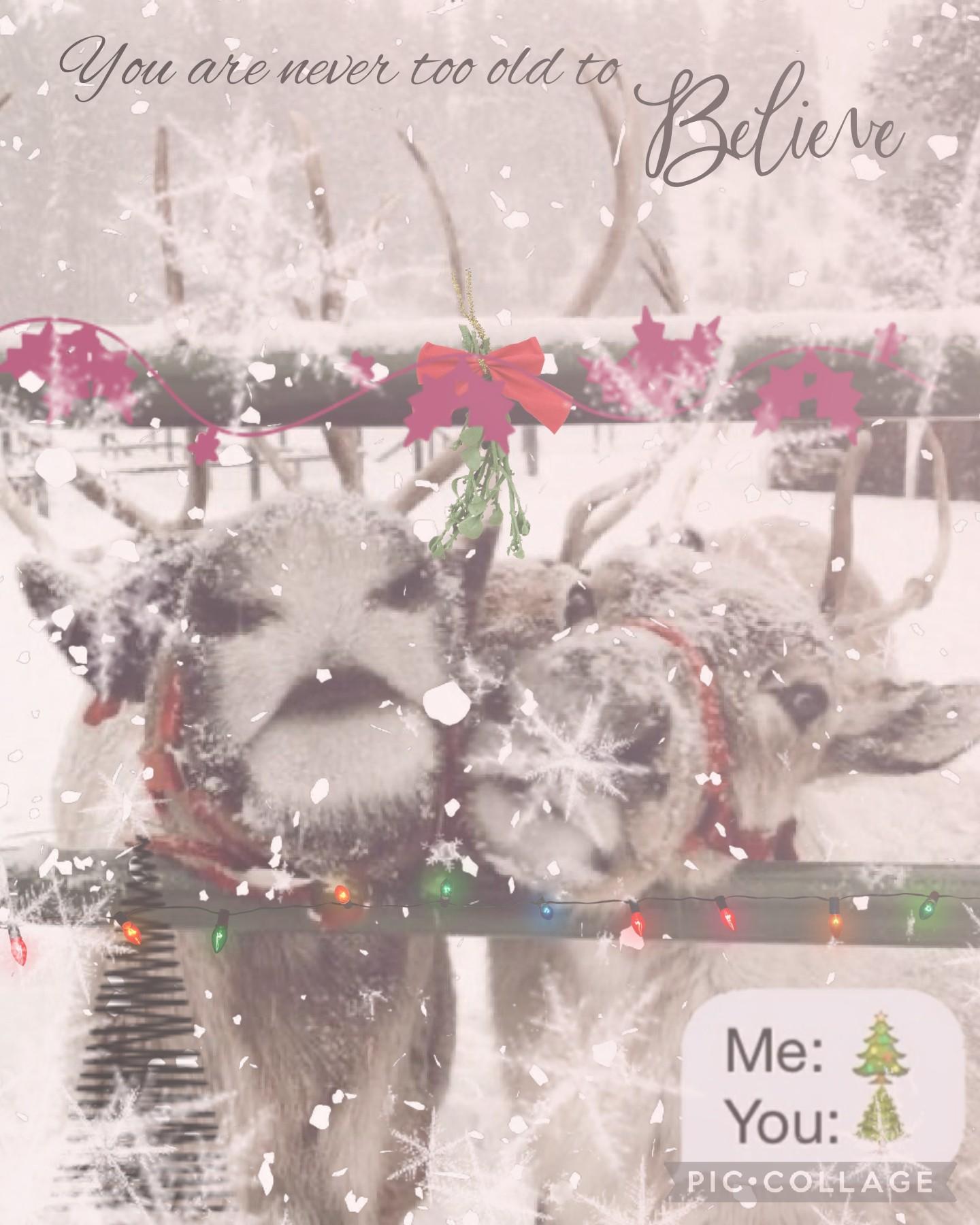 ❄ 🦌 🌨 

Aesthetic Christmas Reindeer 