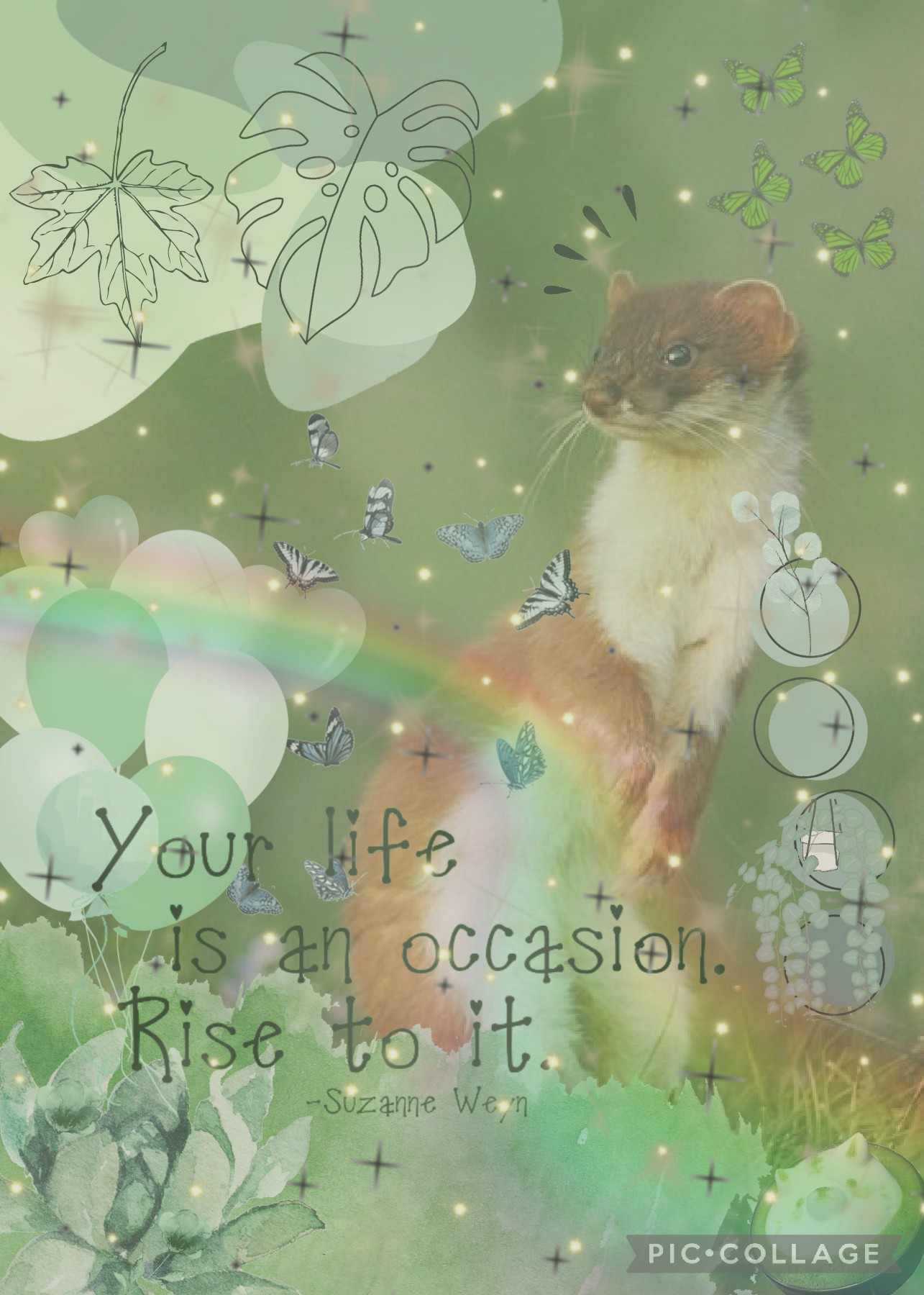 💚🐾🌿

Aesthetic Green Stoat Collage

