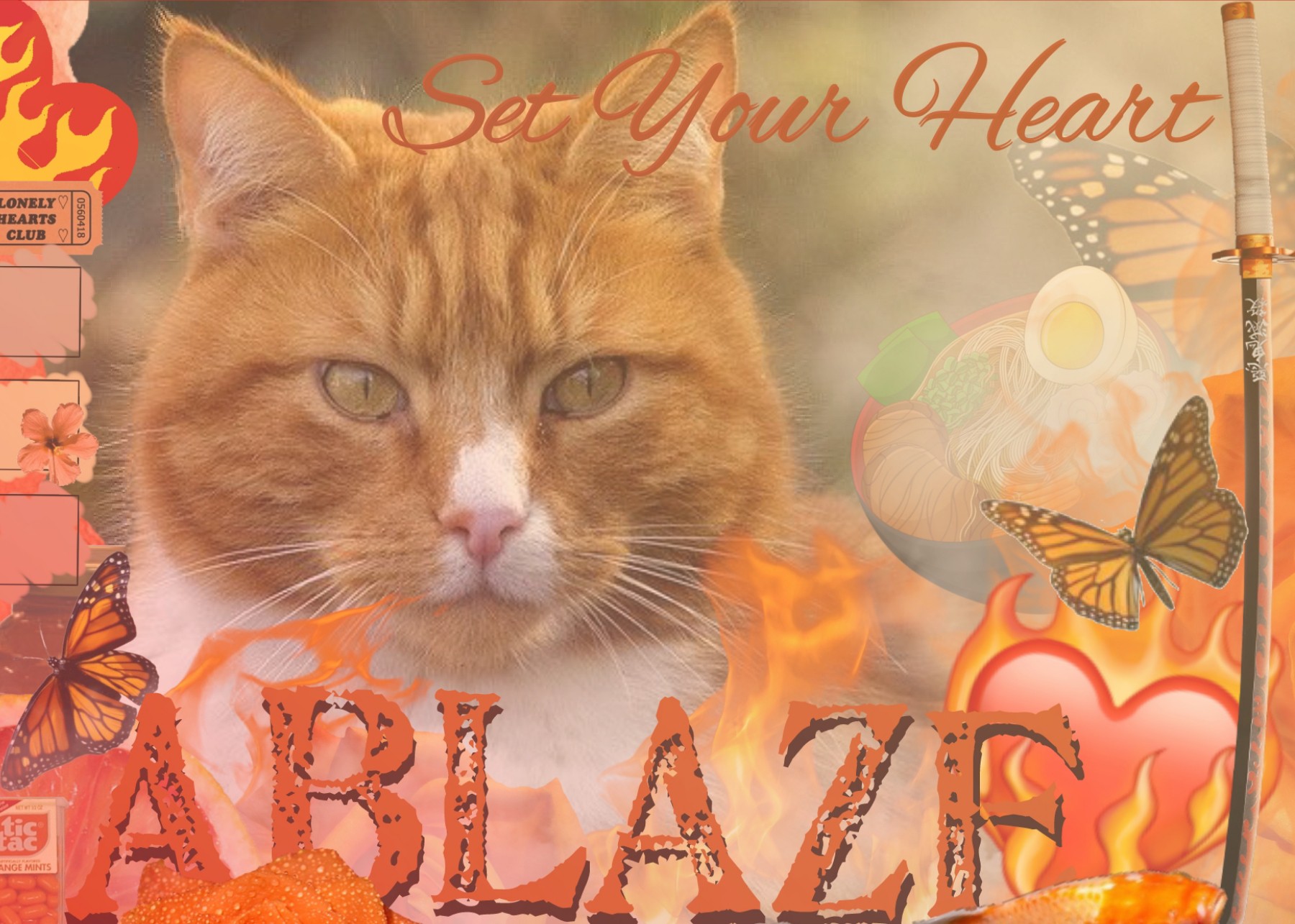 🔥🐱🗡

Aesthetic Fire Cat Collage

remix for hidden images <3