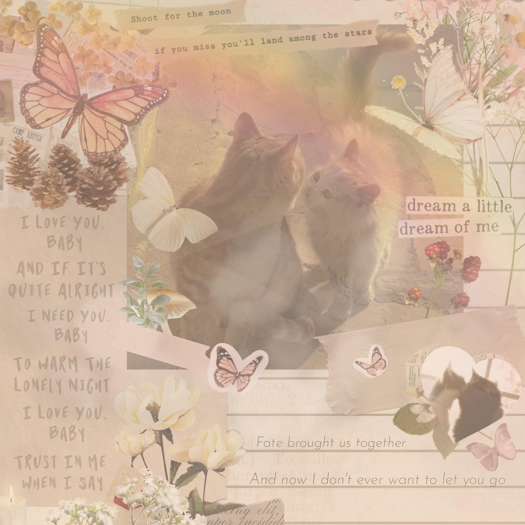 🌸🐈🤎

Aesthetic Cottagecore Vintage Cats

I tried something new! I really like it, I'll probably do more like this in the future!