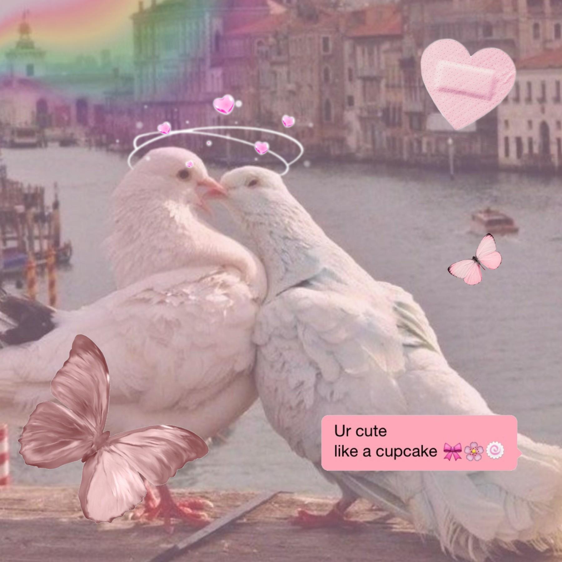 Cute bird aesthetic 

It is probably a dove or a pigeon 