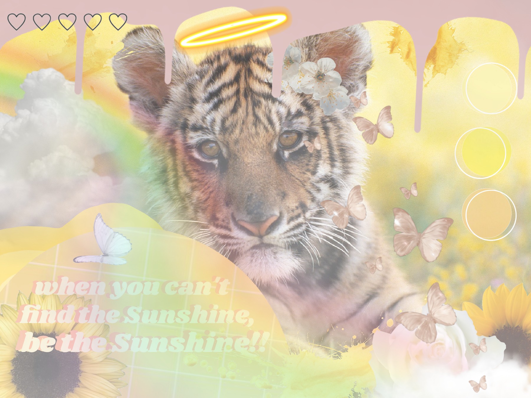 💛🐯🌻

Aesthetic Yellow Tiger Cub Collage

:3