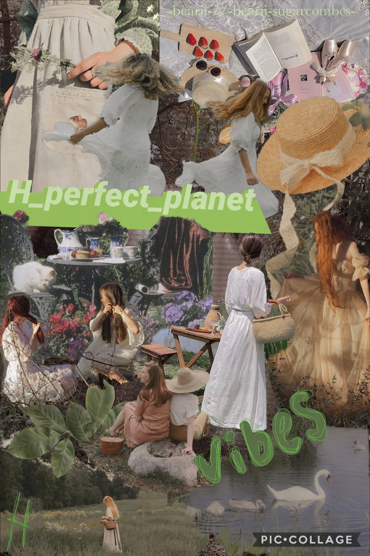 🪴12/Jan./2022🪴This collage is for the amazing and kind-hearted collager @H_perfect_planet. Go follow her! If you also want one, there’s a survey you need to do!💗