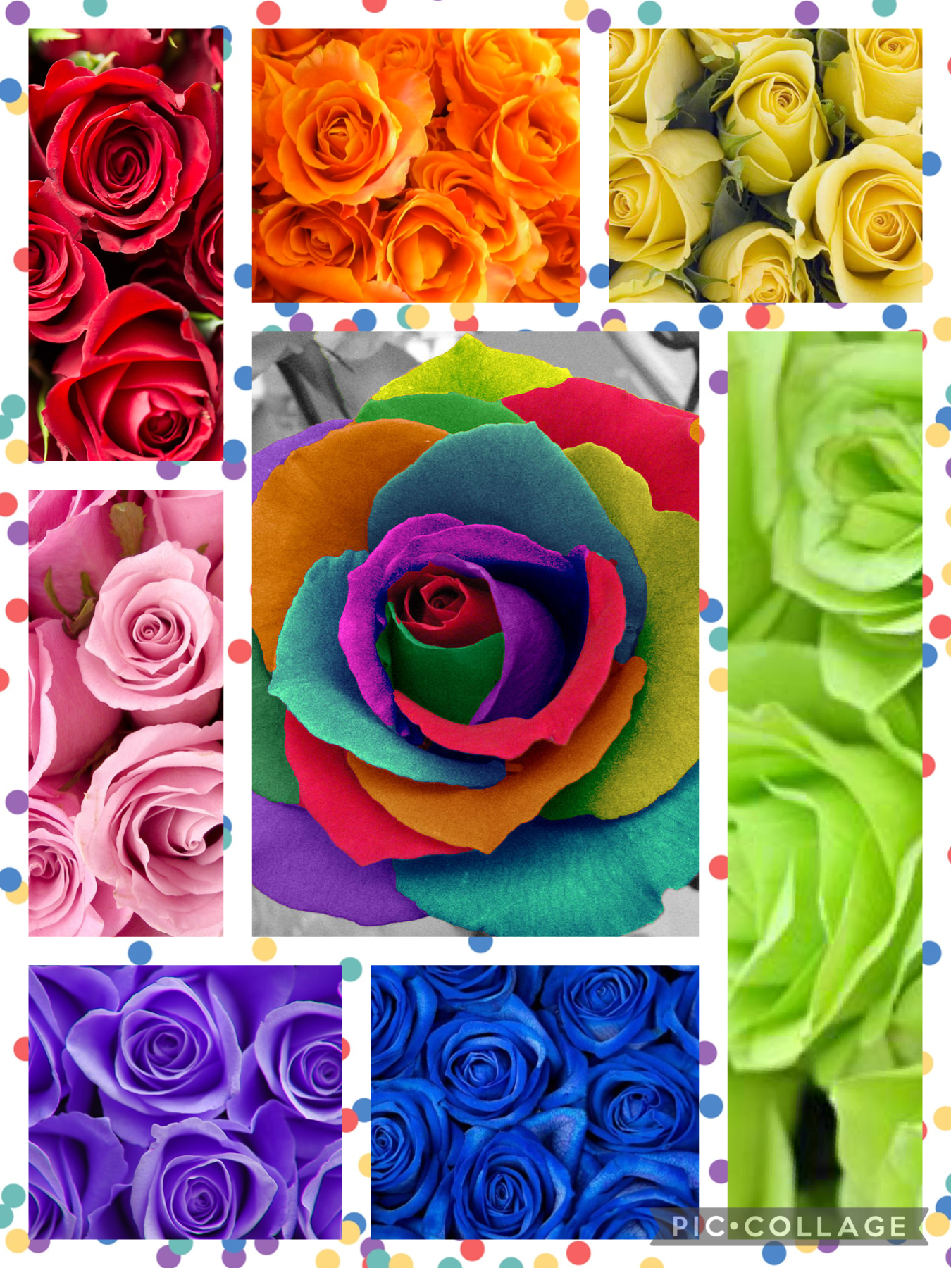 💐Tap💐


I am so sorry I am not posting it cuz of school and I am very sorry 😞 and I will be posting in the weekend or before . I love this collage so much cuz I really like roses 🌹 