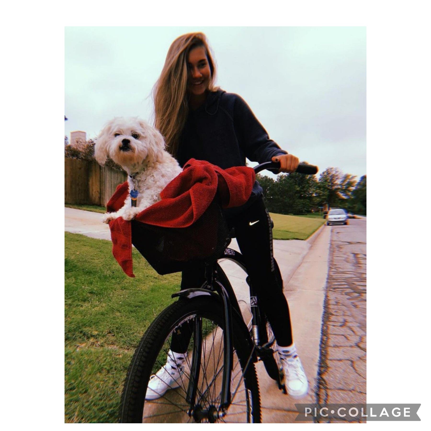 Riding my bike with my dog lol 