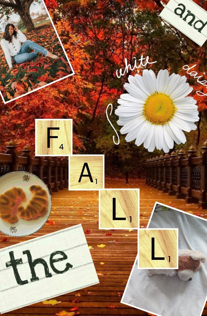 fall *autumn*