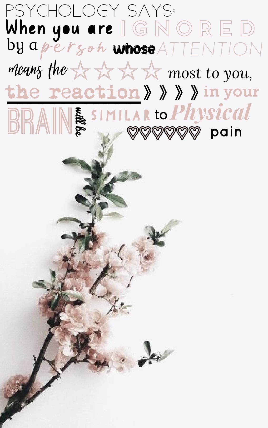 🌸tap🌸
Don't mind me, I'm just a little obsessed....😍
QOTD: Do you want more psychology quotes???
Plz lmk in remixes!!!
☆Minimilist Aesthetic☆