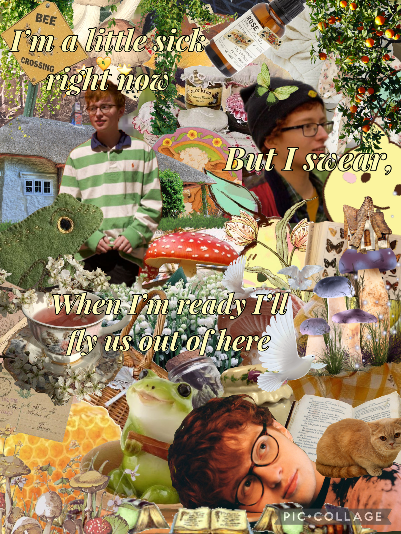 🌱𝕋𝕒𝕡🍄

Cave town/cottagecore collage!

SHOUTOUT to Kittycat2008, this collage for them was LONG overdue. Everyone who knows them can collectively agree that they are one of the just most genuinely kind people on pic collage, they have always taken a minut