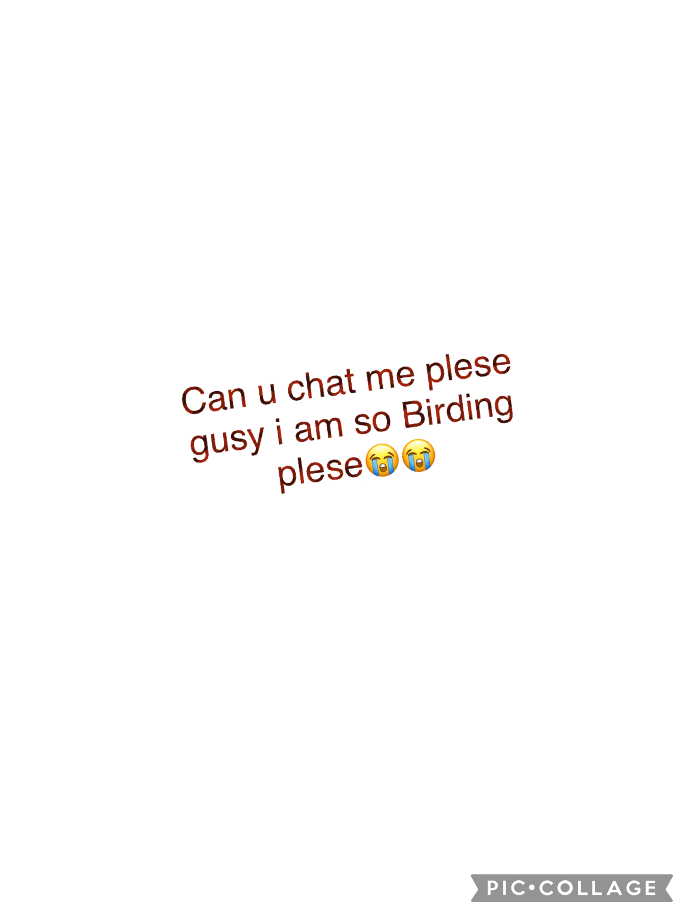 Gusy can we chat i am so Birding