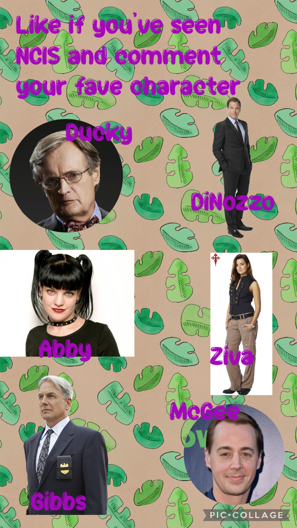 👻WILDTHINGS👻

Comment your favorite NGIZ character!
Like if you’ve seen NCIS!