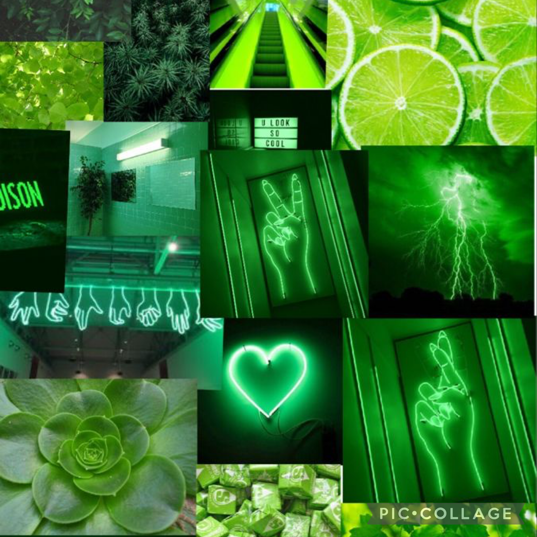 Aesthetic vert