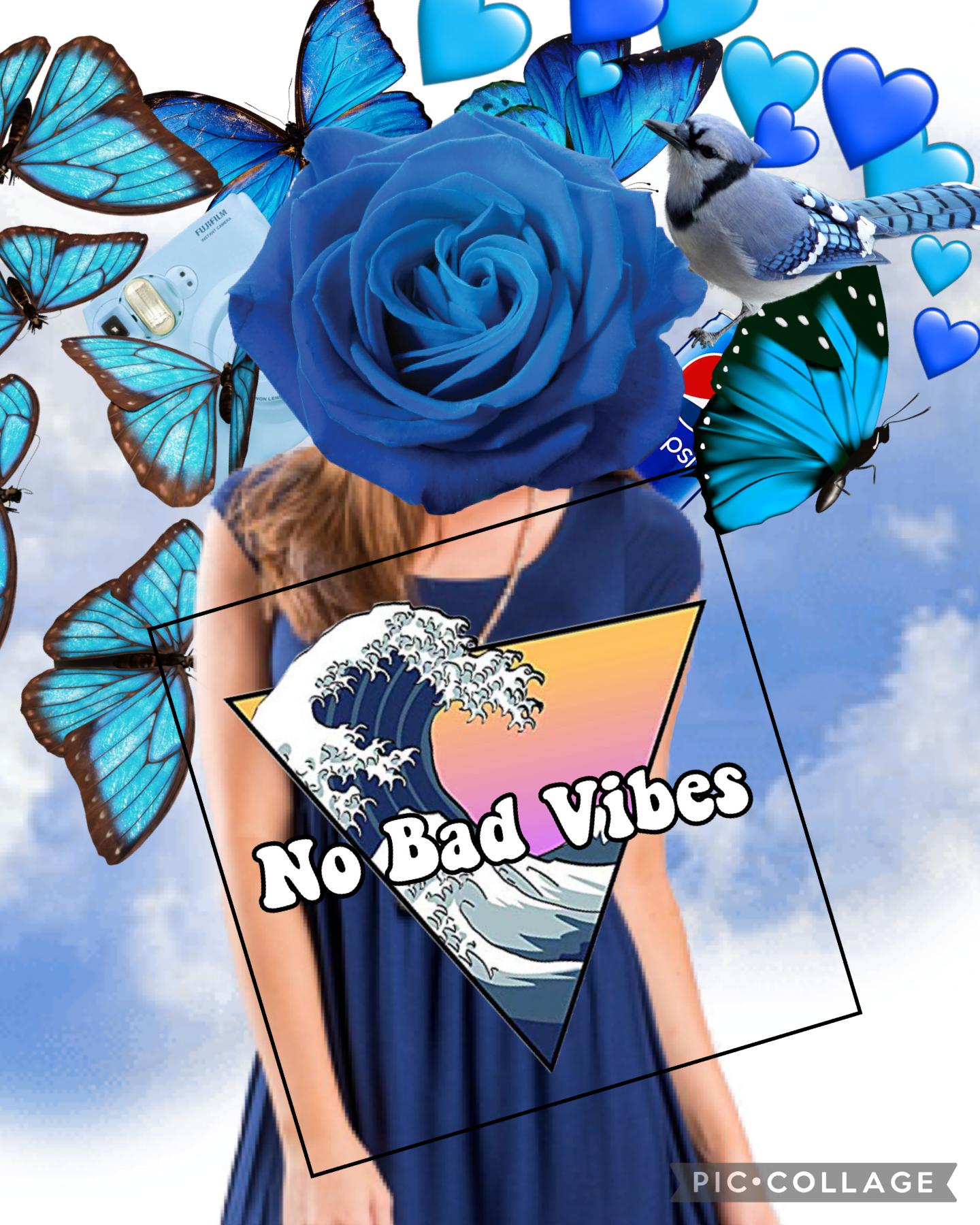 No bad vibes 💙🦋🫐🐳<3