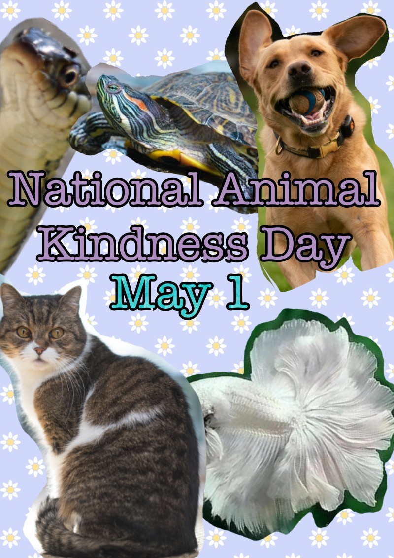 May 1 is national animal kindness day! Care for the animals you can care for and spread the word! 🐵🐶🐩🐺🐱🦁🐯🐴🦄🐮🐂🐃🐄🐷🐗🐏🐑🐐🐪🐫🐘🐭🐀🐹🐰🐿🐻🐨🐼🦃🐔🐓🐣🐦🐧🕊🐸🐊🐢🐍🐲🐳🐬🐬🐟🐠🐡🐙🐚🦀🐌🐛🐜🐝🐞🕷🦂