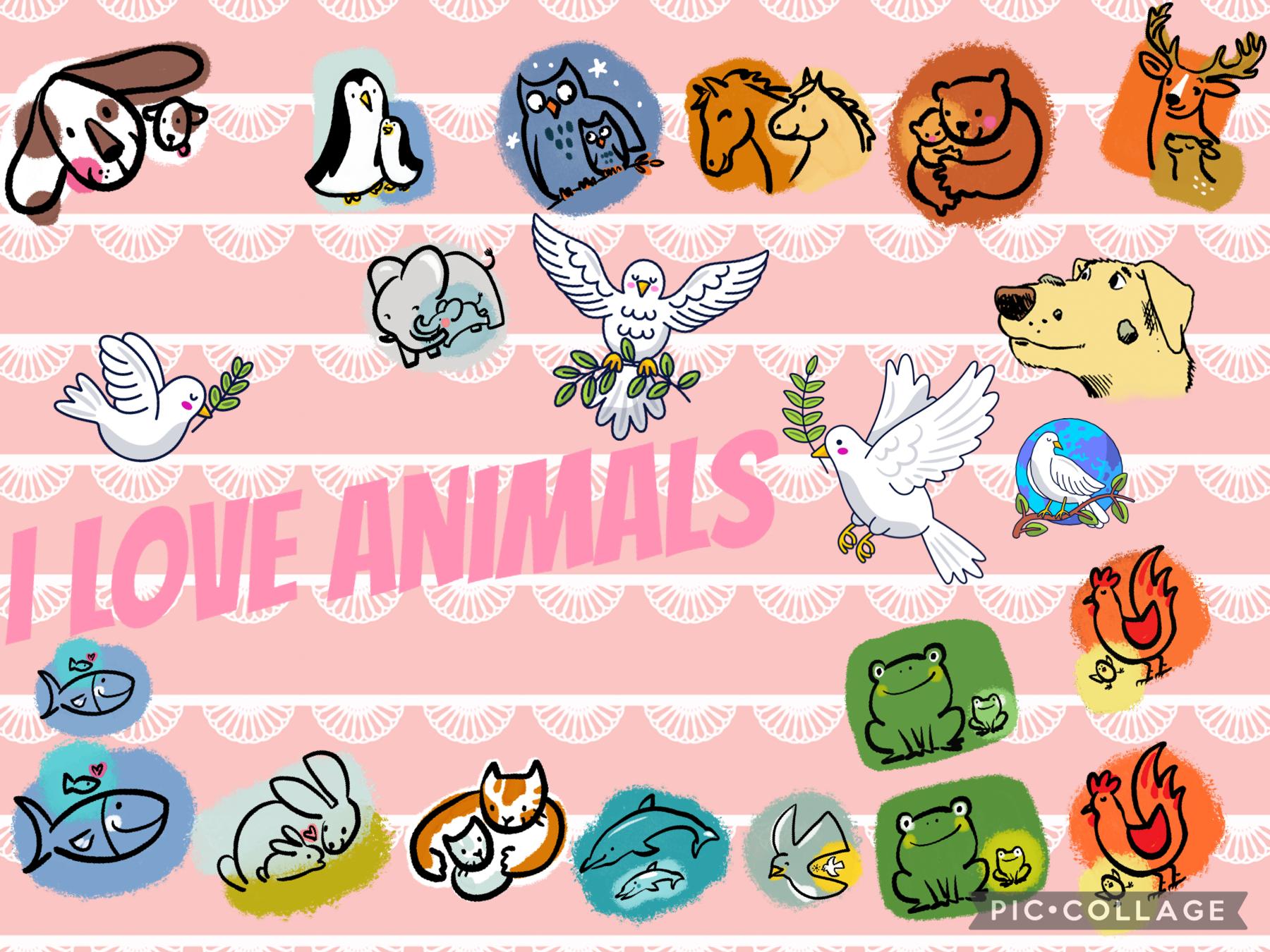Do you love animals?