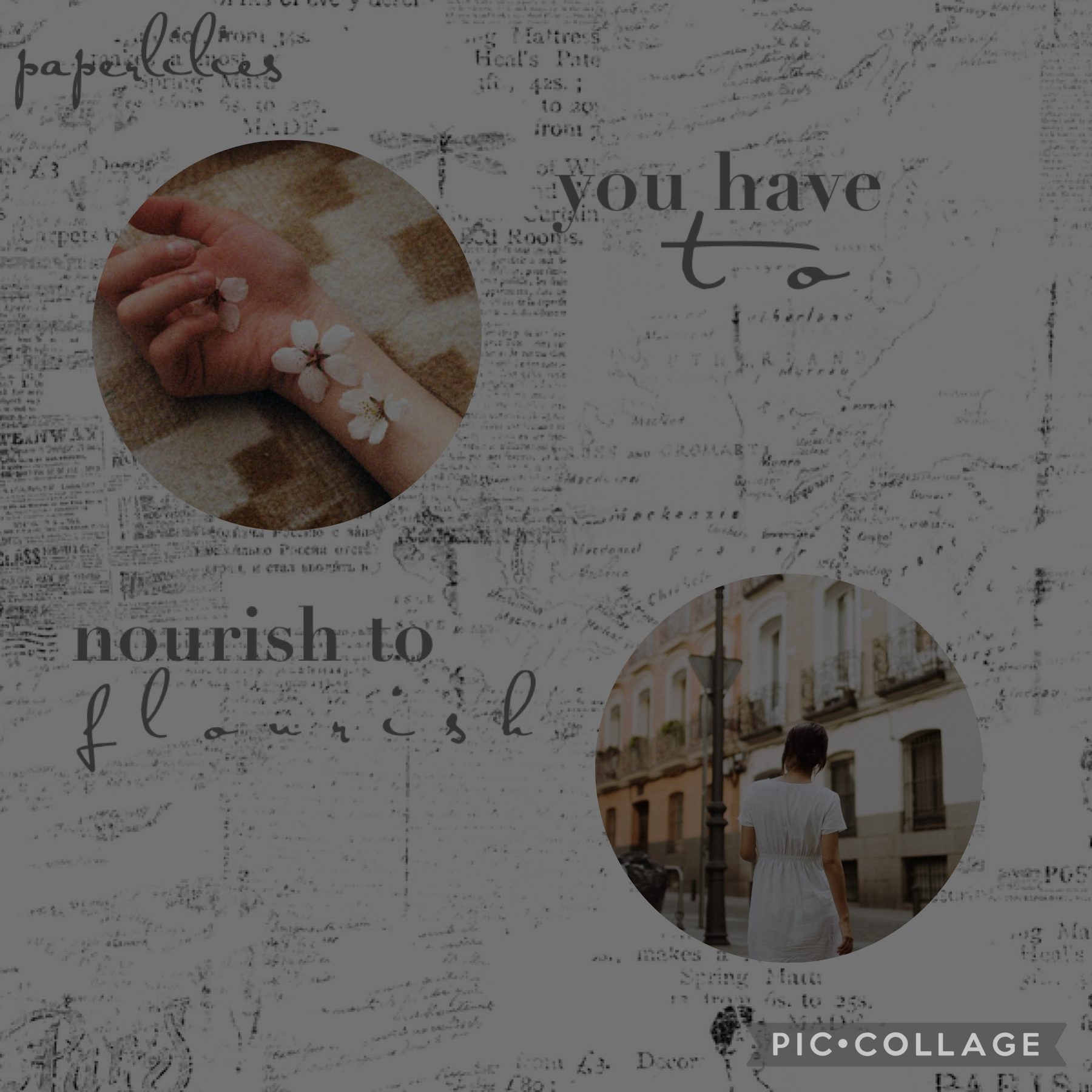 • tap •

my first collage! what do you think?

- 𝓈𝑜𝓅𝒽𝒾𝑒 -

date posted
june 01, 2022