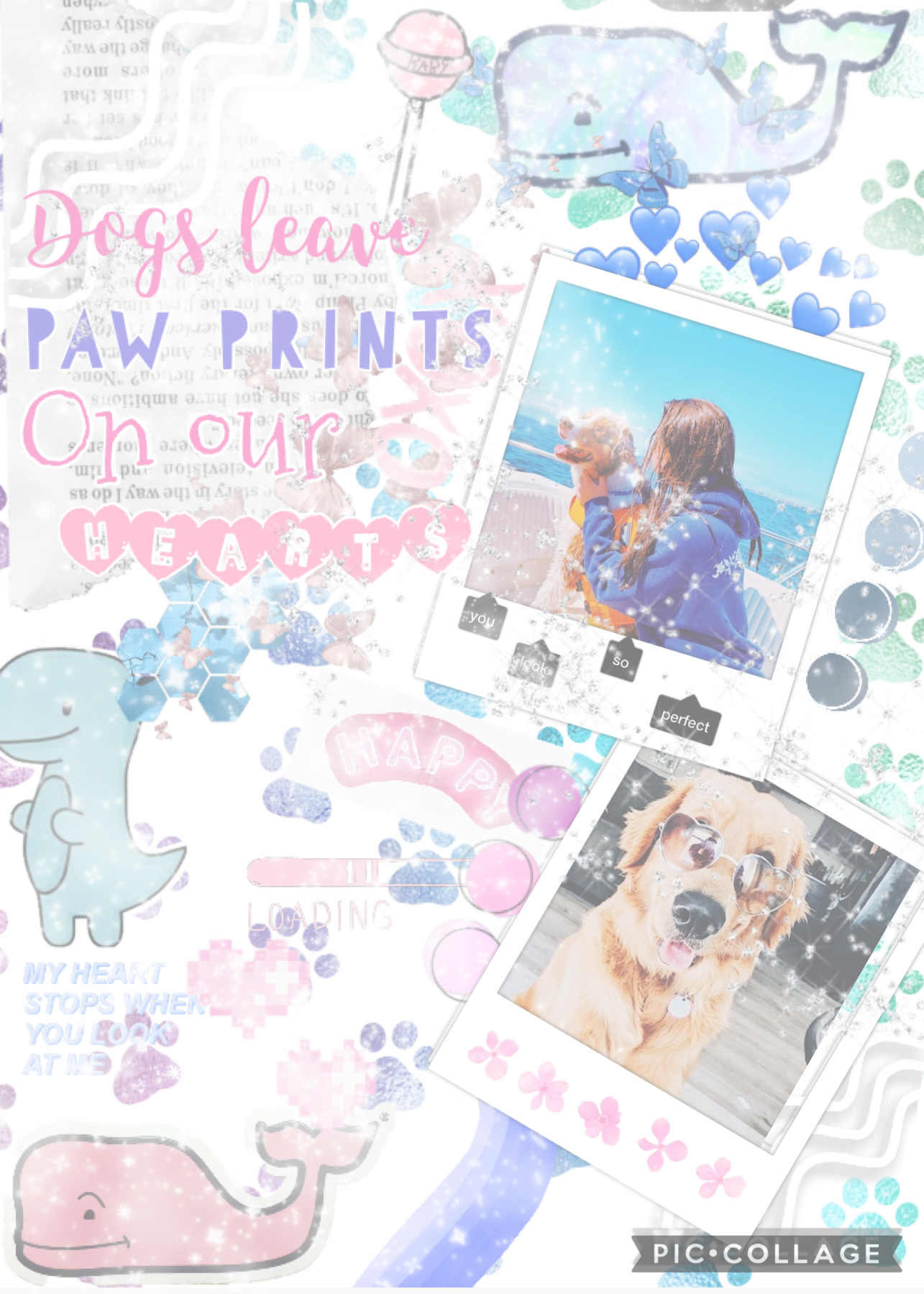 🐾TAP🐾
I loveeeeeeee dogs! I’ve done one of these before, but with deleting  all my post is like to give creds to @dreaminghappily Bec she did a stunning dog post recently! Qotd: what r ur three fav types of dogs 🐕 aotd: Aussie, baby bulldog(they’re actual