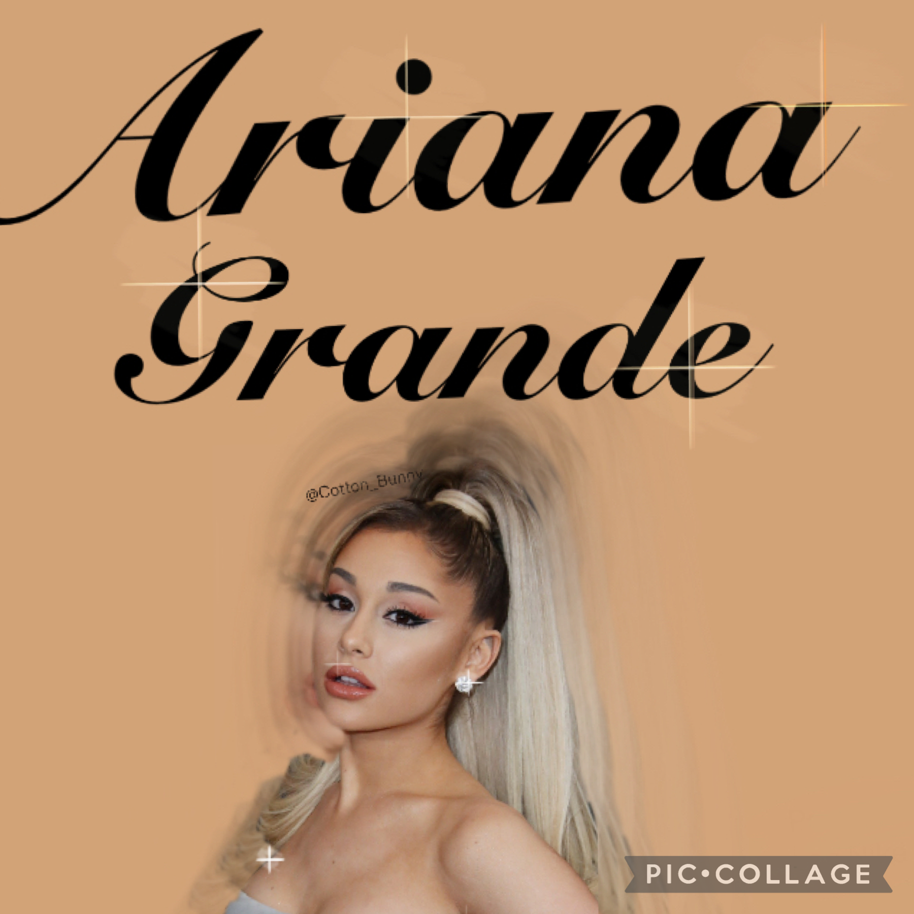 Ariana grande 😚 (Go to the comments)