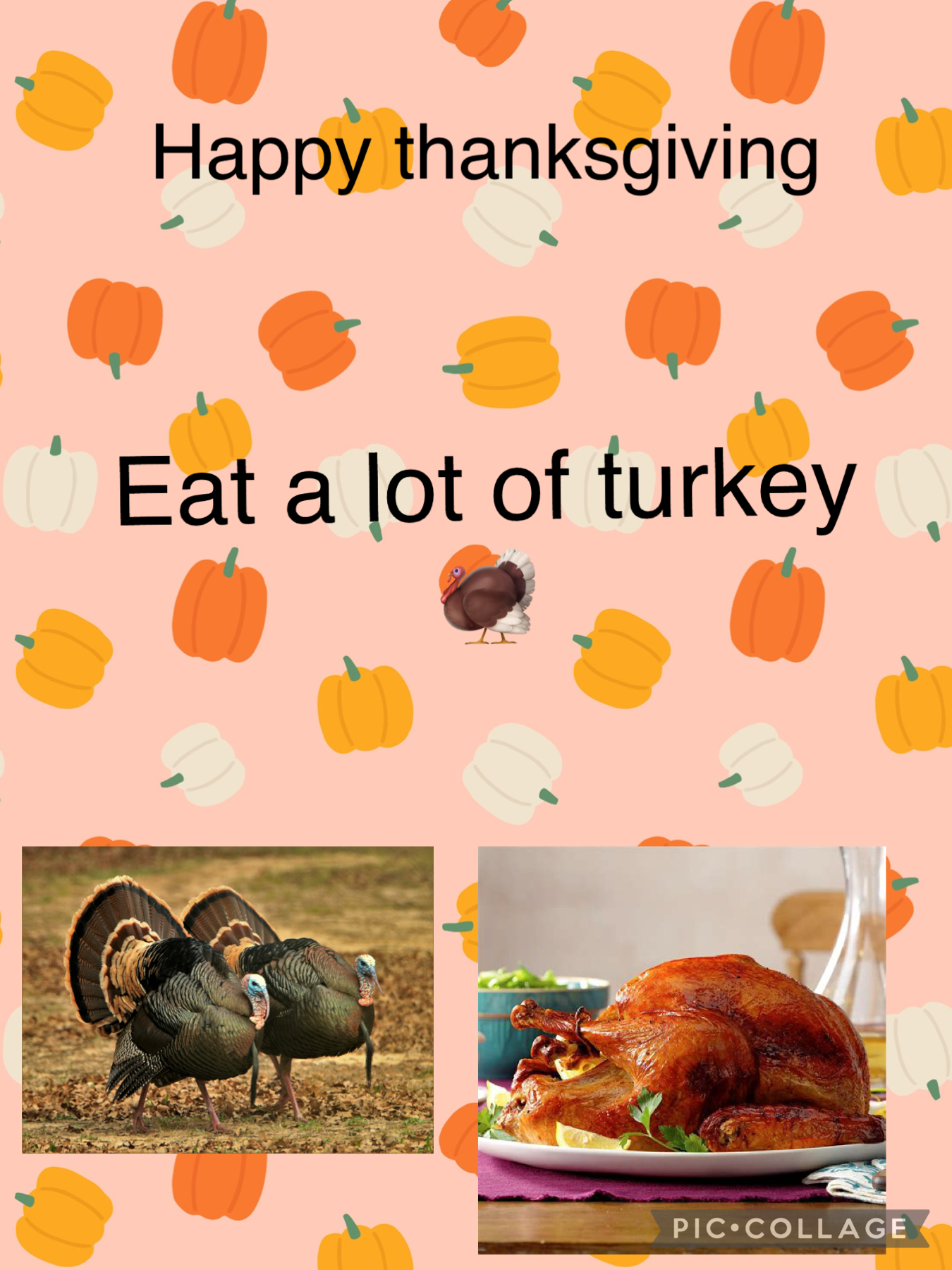 #happy thanksgiving 
