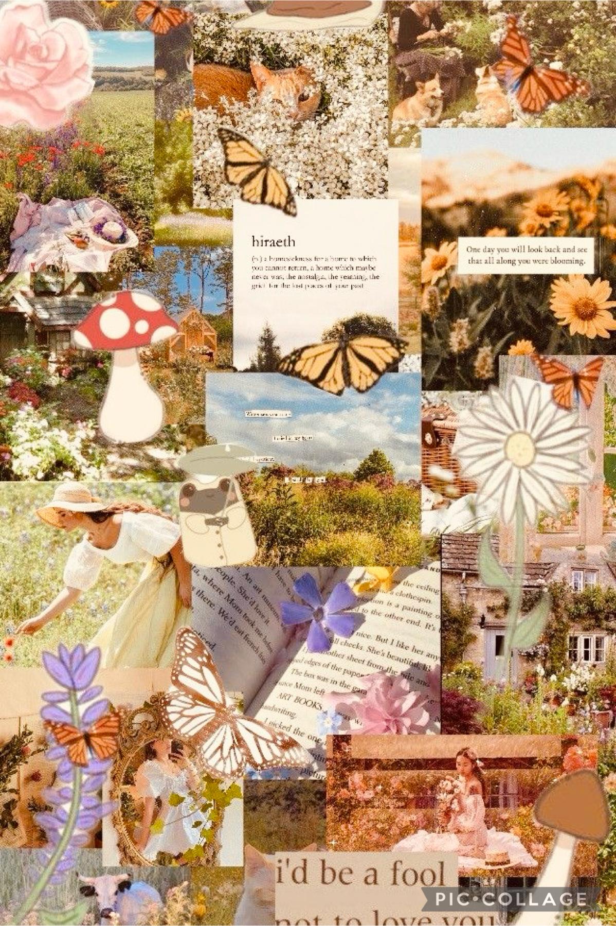 Hi guys!! How are you guys doing? I have spring break until the 29th of April. I am so excited for my dance on may 2nd it’s a cinco de mayo dance. Anyways have a great day/night. Hope you like my vintage cottage core collage. Bye!! ✌️ 