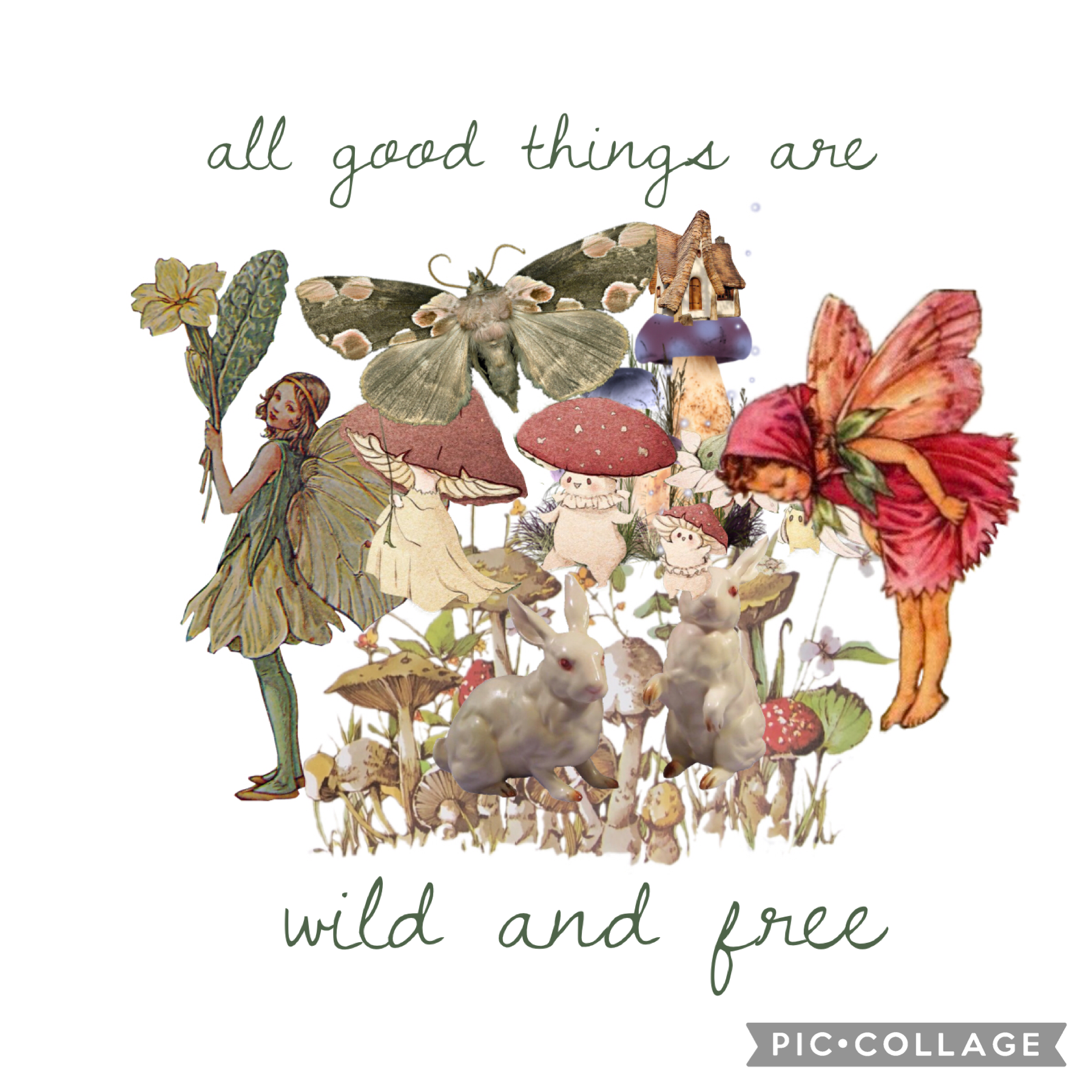 🍄 7/26/22 🍄
cottage aesthetic and my first collage! what do you think about it?