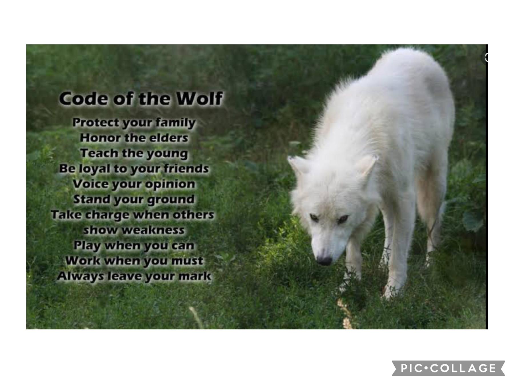 Code of the wolf
