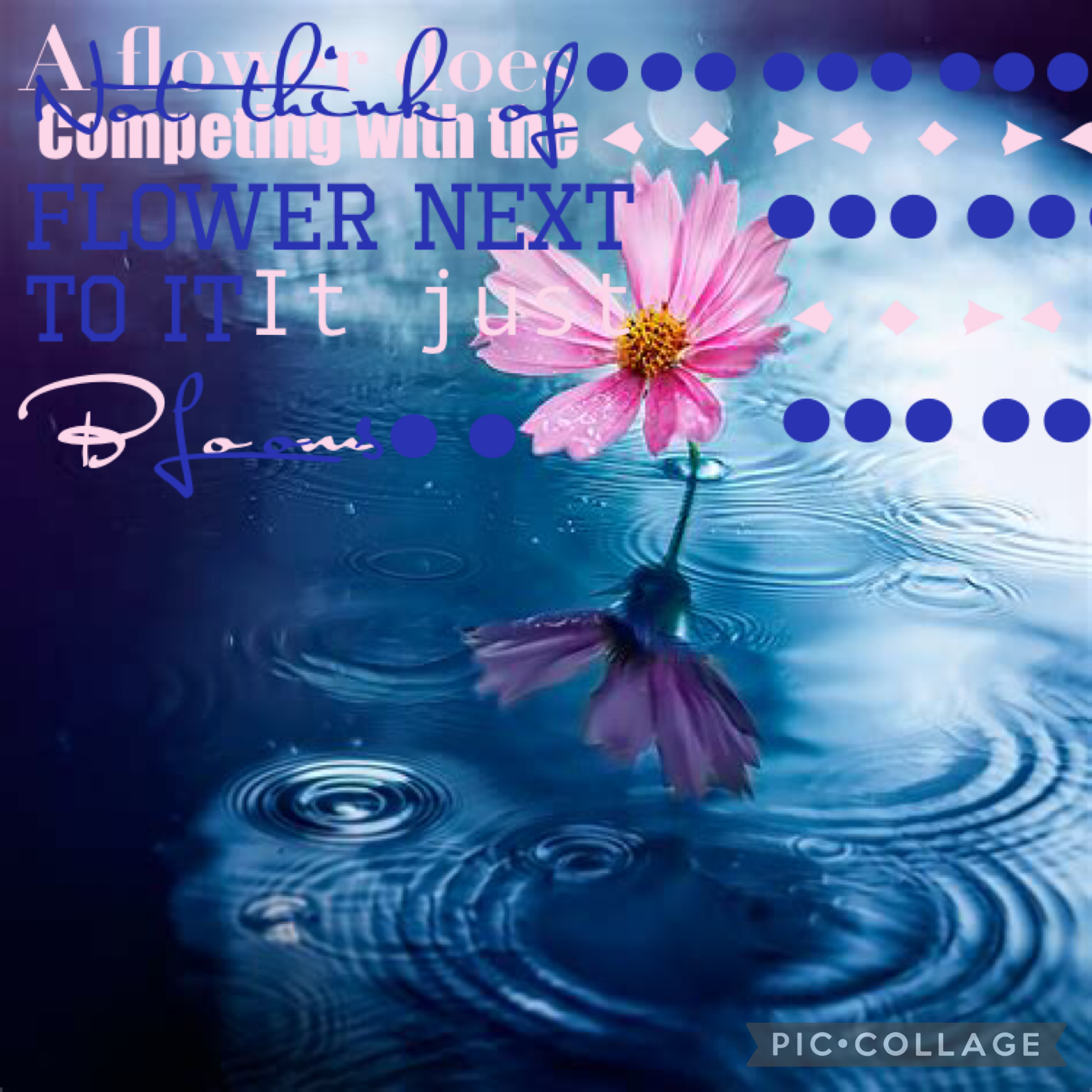 29.10.22 tap!!!
‘A flower does not think of competing with the flower next to it, it just blooms’
Love this quote!!!