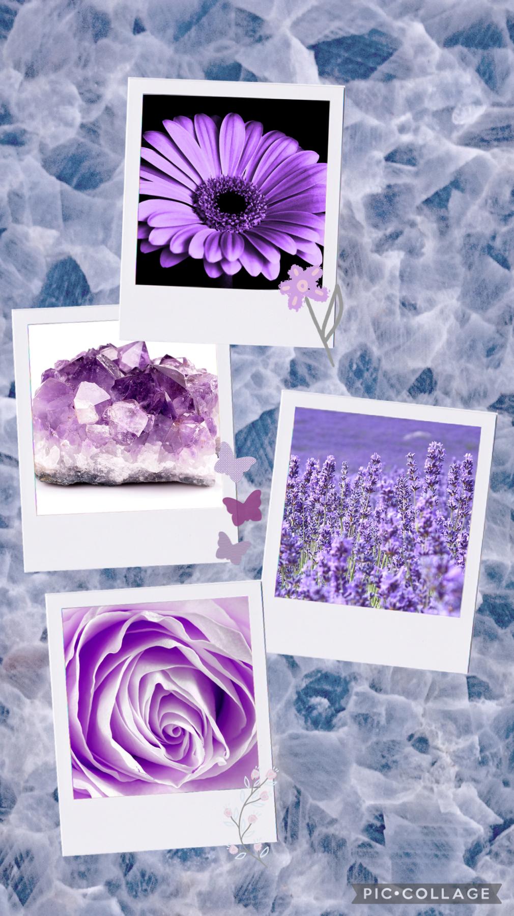 Purple, fucia, dark purple there all purples. What’s ur favorite shade of purple?
