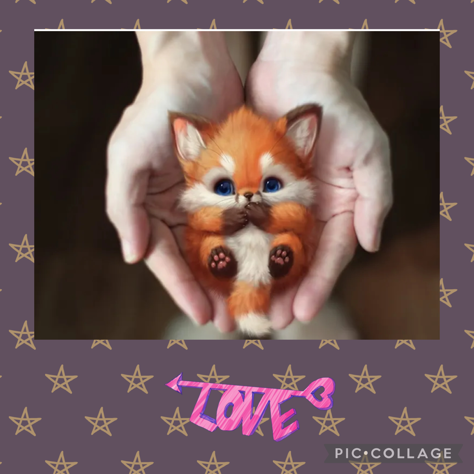 So cute fox I am holding 