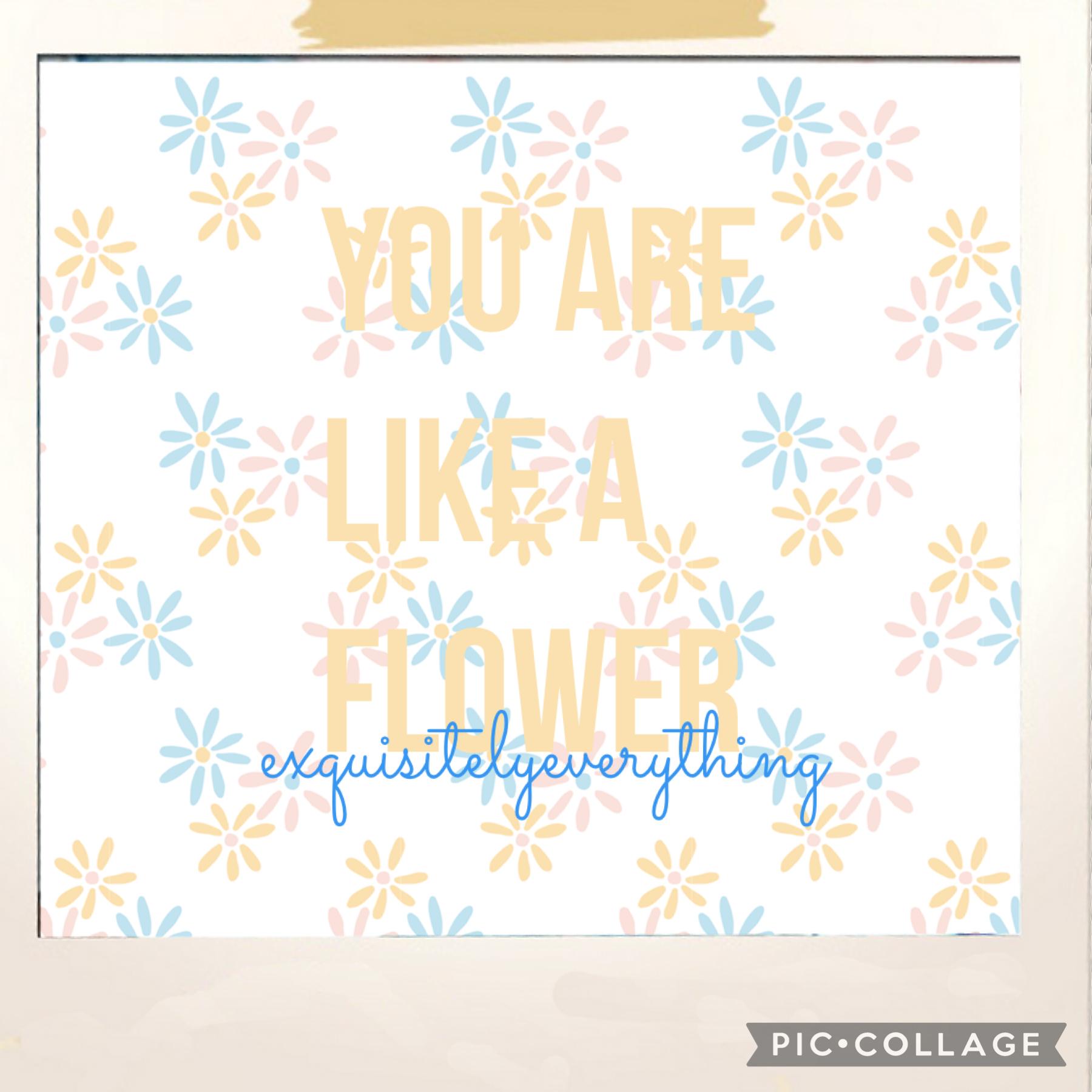 You are like a flower 