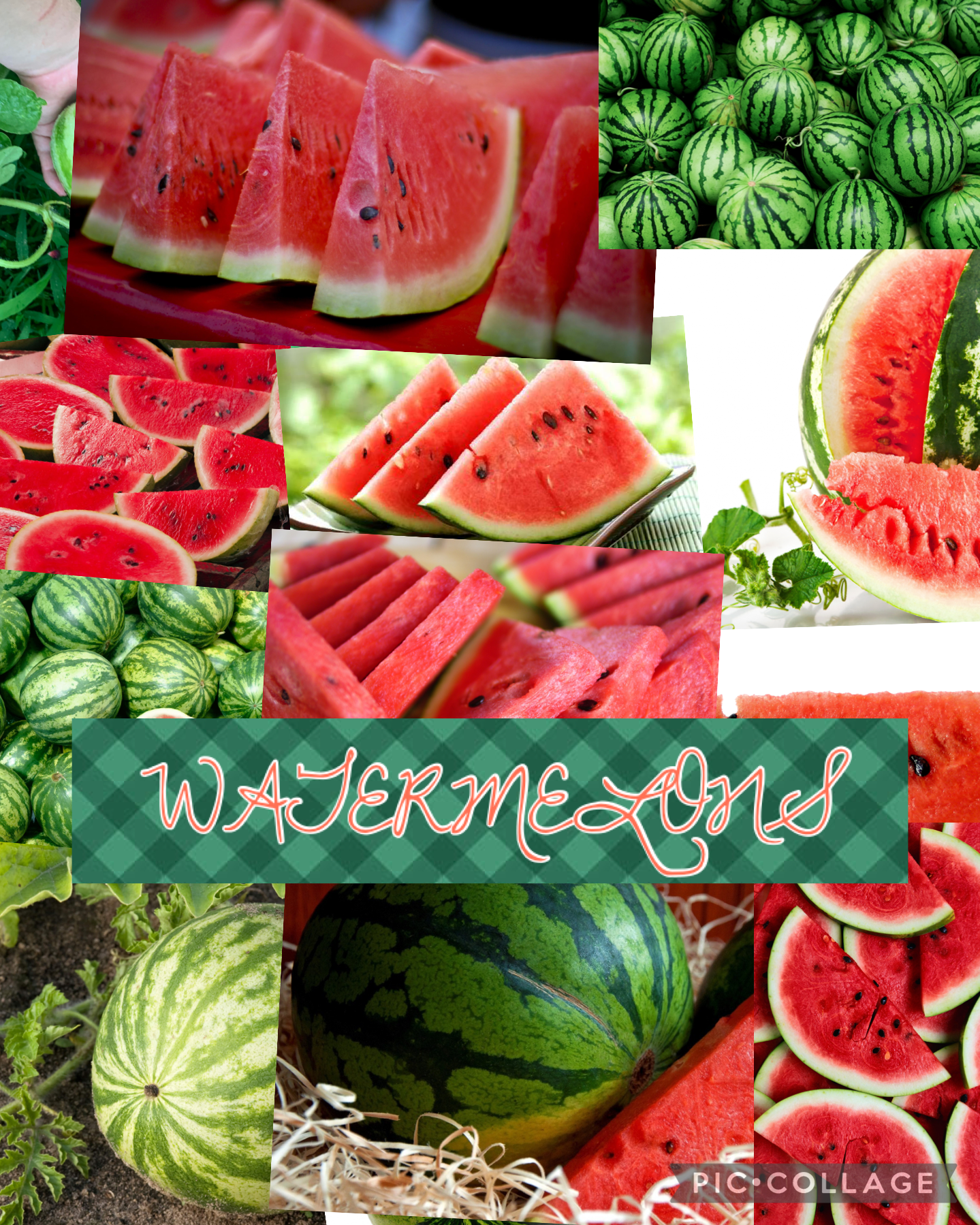 🍉tap🍉

here’s another collage dedicated to my my watermelon crave!! 🍉🍉🍉