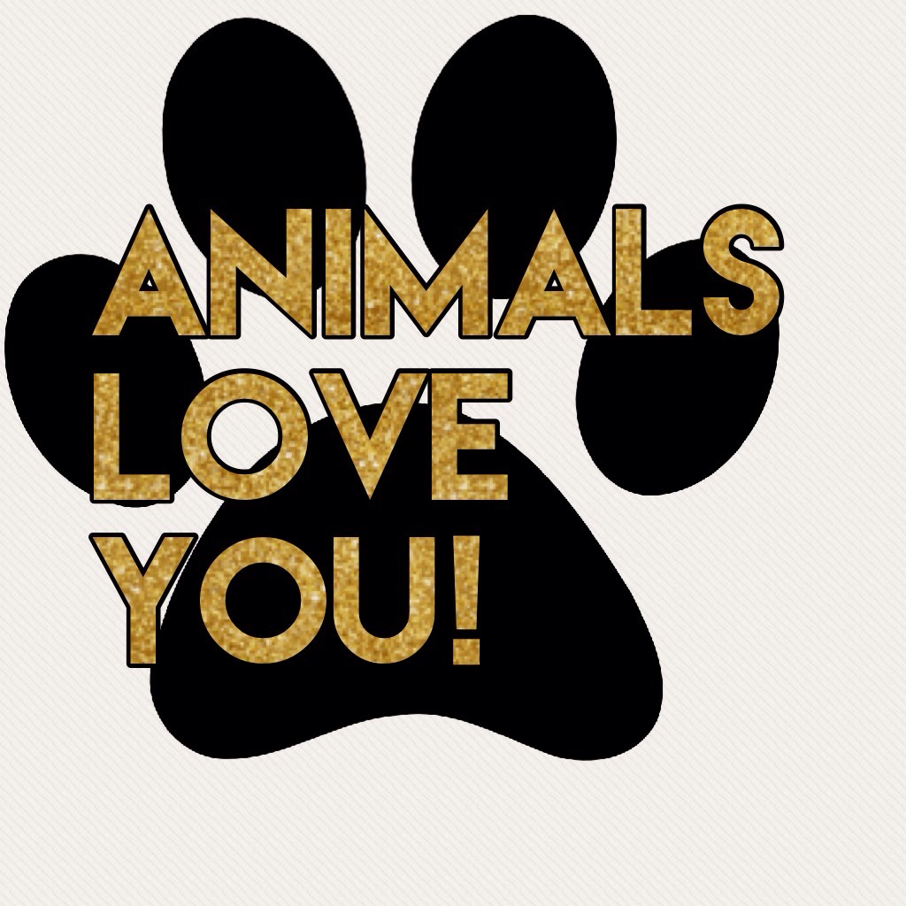 Animals love you! Follow me if you have a pet any pet!