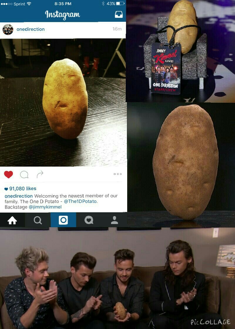 The 1D potato