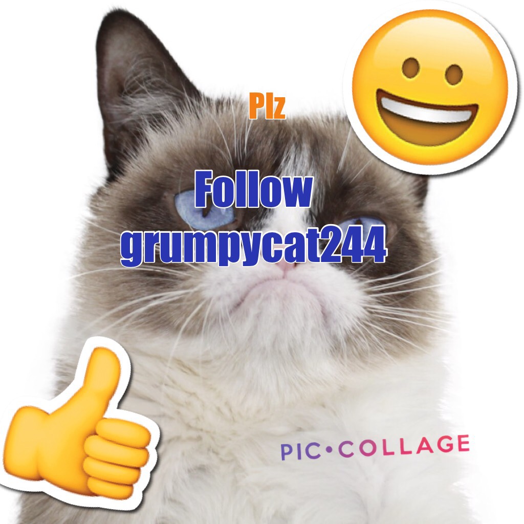 Follow grumpycat244
Plz follow her 
