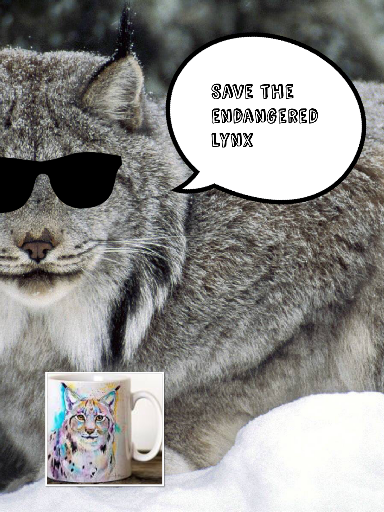 Save the endangered lynx
