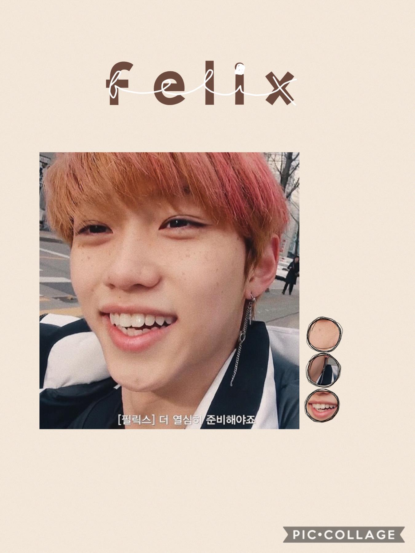 daily dose of skz: our freckled mosquito (sorry alexa) {for 12•23•19} {1•22•2020}