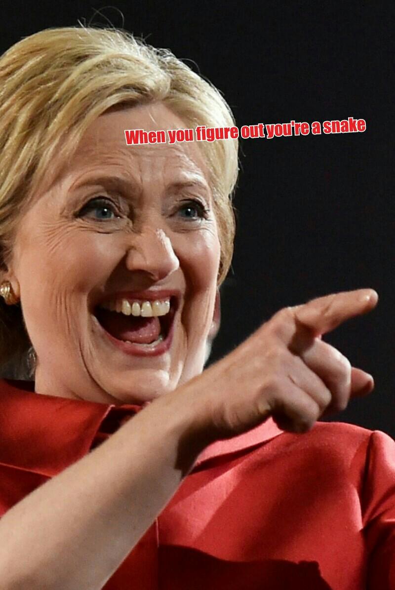 Hillary Clinton stinks