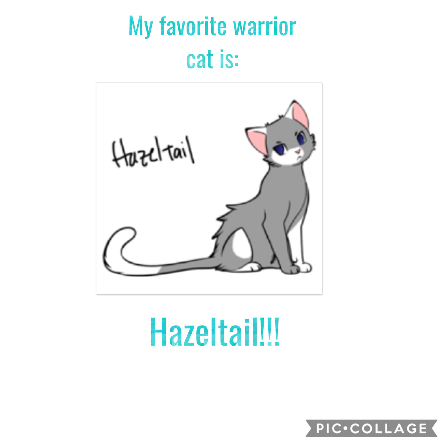 I love Hazeltail